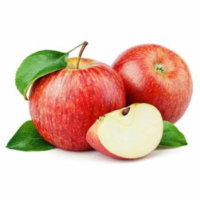 China Best Quality Apple Red Star 2021 Apple Cool Fresh And Sweet Excellent Price for sale