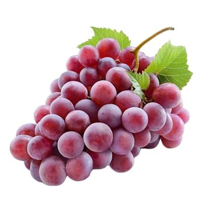 China Lowest Price China Fresh Fruit Rich Red Globe Grape Hot Selling Vitamin for sale