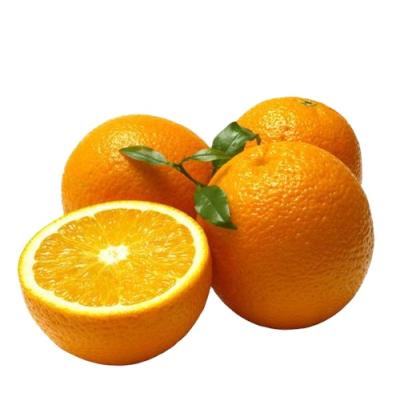 China China 2021 fresh new crop citrus navel orange for wholesale for sale