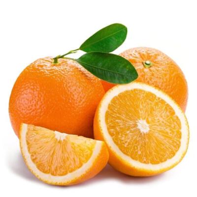 China Orange 2021 navel premium harvest ready for export fresh citrus new for sale