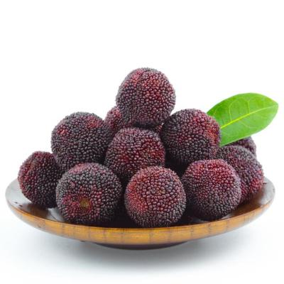 China Fresh Fruit Chinese Red Bastard Myrtle Juicy Red Bayberry Chinese Yang Mei for sale