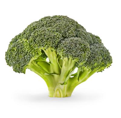 China Natural Fresh Export Vegetable Exporter With High Quality Green Healthy Broccoli for sale