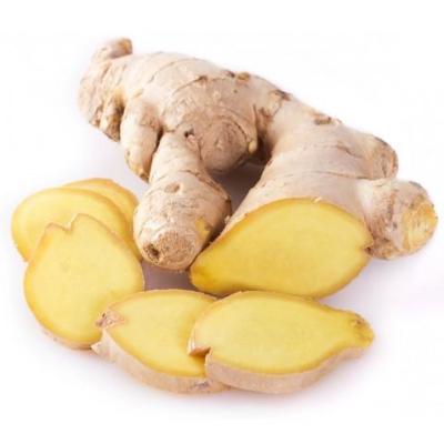 China 2021 Fresh Export High Quality New Ginger Whole To Export Organic Fresh Chinese Natural for sale