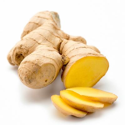 China Ginger Wholesale Chinese High Quality Fresh Ginger Conventional Fresh Ginger for sale