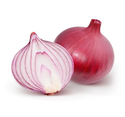 China 2021 New Harvest Fresh Export Natural Hot Selling Chinese Fresh Onion Good for sale