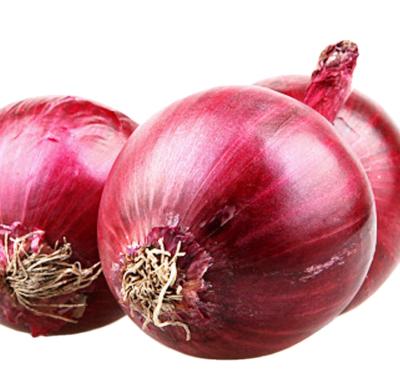 China 2021 fresh natural new season export fresh red and white purple onions for sale