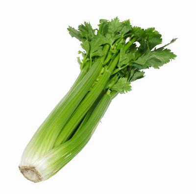 China 2021 New Harvest Natural Hot Selling Good Export Chinese Fresh Green Celery for sale