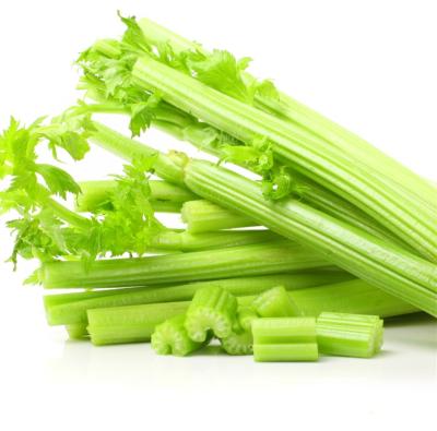 China 2021 New Culture Fresh Export Natural Chinese High Quality Carrot Green Cheap Fresh Celery for sale