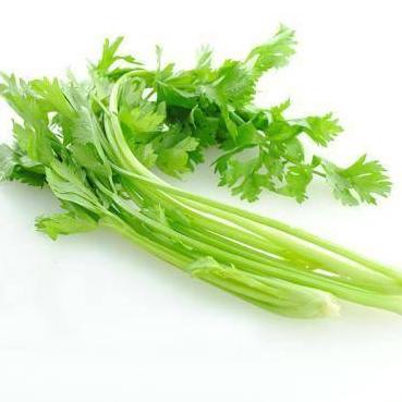 China Lowest Price Natural Organic Chinese High Quality Fresh Green Celery for sale