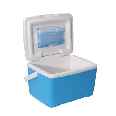 China Waterproof outdoor kitchen 8L outdoor Food ice Cooler cold and heat insulation foam portable picnic camping Cooler box with handle for sale