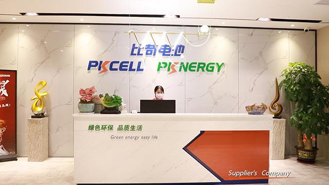 Verified China supplier - Shenzhen Pkcell Battery Co., Ltd.