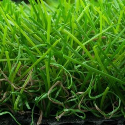 China 2018 ISO certification SGS approved High Elasticity Green Field durable  hockey artificial grass for sale