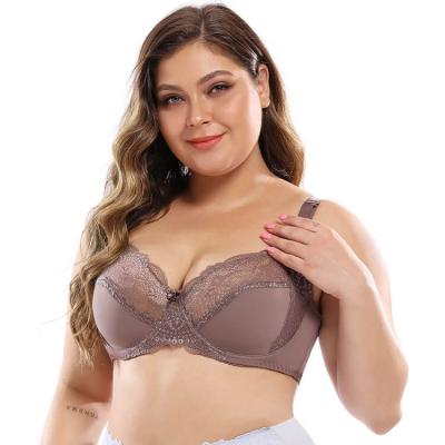 China Full cup ultra-thin sexy lace workable plus size lingerie with seamless underwire women bra plus size for sale