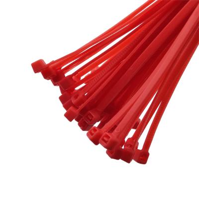 China Heavy Duty Nylon Cable Zip Tie, Magnetic Automatic Nylon Cable Ties 66 Nylon Cable Ties Manufacturer for sale