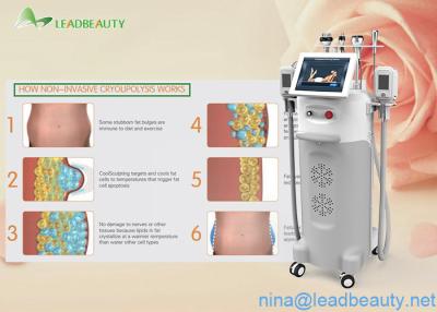 China 2000W Input Power Great weight loss machine cryolipolysis -15-5℃ can be reached for sale