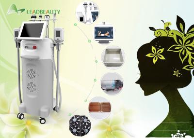 China Cavitation+ RF+ Vacuum Cryolipolysis weight reduction Multi-functional  machine for sale