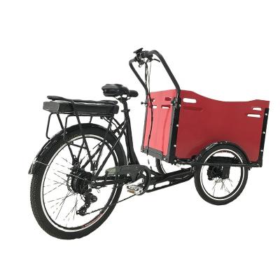 China Large Capacity Cargo and Passenger Cargo Tricycle Electric Bike at Carry Kids Goods In-Pakistan for sale