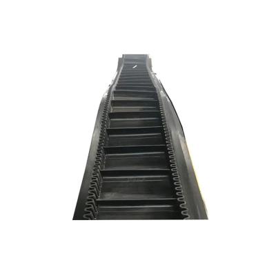 China Professional Manufacturer Rubber Acid And Alkali Resistance Product Belt Conveyor With Fast Shipping for sale