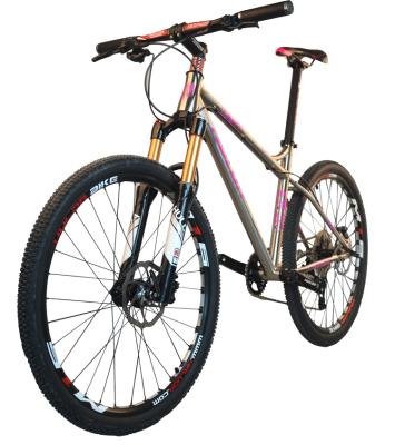 China Hot DIRT JUMP Factory Mountain Bike 27.5/29 MTB Chrome Molybdenum Steel Bike 11/12Speed ​​Mountain Bike for sale