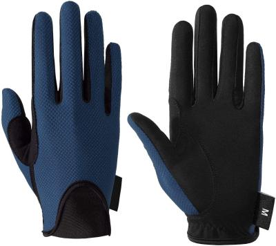 China High Cost Performance Windproof Popular Practical Protective Riding Mitts for sale