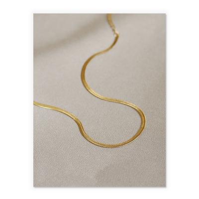 China High Quality STARLAND Jewelry All-match Simple Snake Bone Chain Stainless Steel Gold Plated Necklace For Women for sale