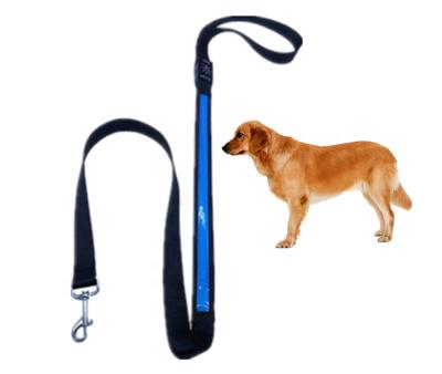 China Durable Good Quality Led Dog Leash With USB Rechargeable Led Dog Leash And Dog Charging Leash for sale