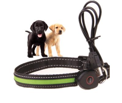 China Sustainable Good Quality Led Dog Collar , Pet Collar , Light Up Dog Collar for sale