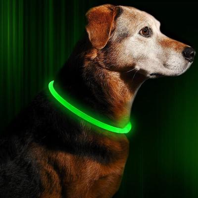 China LED Lights Dog Collar, USB Rechargeable Nylon Strap Pet Safety Adjustable Glowing Collar, Reflective Light Up Collars For Your Dogs for sale