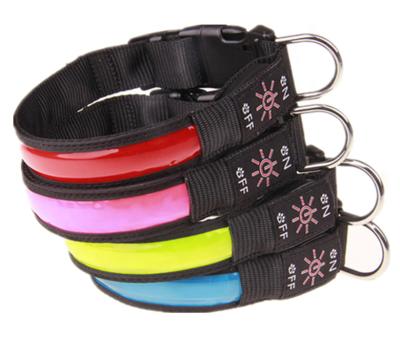 China Pet Viable Products Good Quality Dog Collar, Led Dog Collar, USB Rechargeable Led Dog Collar for sale