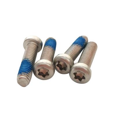 China Rustproof And Durable Pan Customized 304 Pan Head Torx Nylock Coated Nylok Stainless Steel Patch Screws for sale