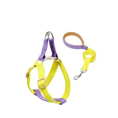 China 2.5cm Custom Manufactures Factories Custom Brand Logo Cotton Webbing Dog Leads / Dog Collar Webbing for sale