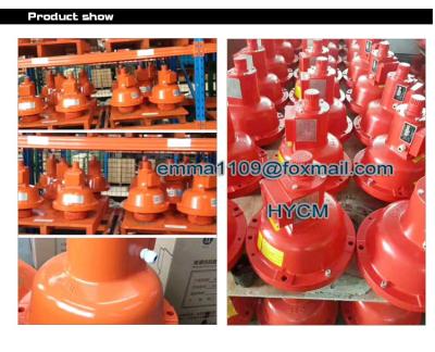 China Spare Parts Anti falling Protection Device China SAJ Model of Hoist for sale