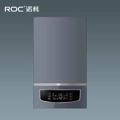 China Hotel 24KW 26KW 28KW Condensing Gas Boiler For Heating Hot Water Home Heating Room Smart Timer Twist CE Certificate for sale