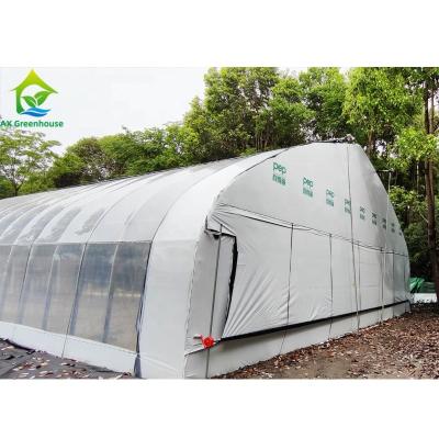 China Light Dep External Blackout Greenhouse White Black Film Rolling Hot Galvanized for sale