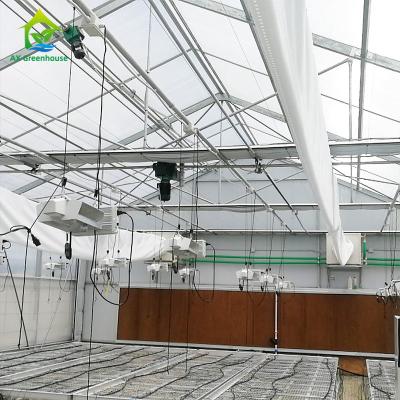 China Light Deprivation Automatic Blackout Greenhouse For Cannabis Growing for sale