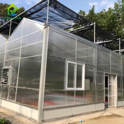 China Heat Preservation And Insulation PC Sheet Greenhouse High Strength for sale