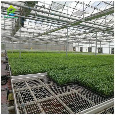 China Seedbed Plant Nursery Equipment Movable Mesh Grow Table Vegetable Planting for sale