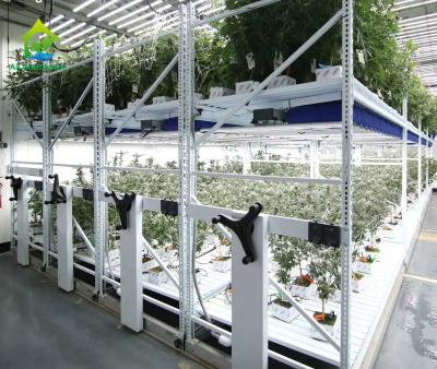 China Vertical Indoor Farming Greenhouse Seedbed Grow Rack Movable Growing Table Double Layers for sale