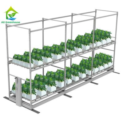 China Nursery Indoor Custom Hydroponic Greenhouse Steel Grow Rack Multi Layers for sale