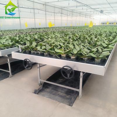 China Customized Seed Bed Adjustable Rolling Benches Grow Table Plastic For Flower Planting for sale