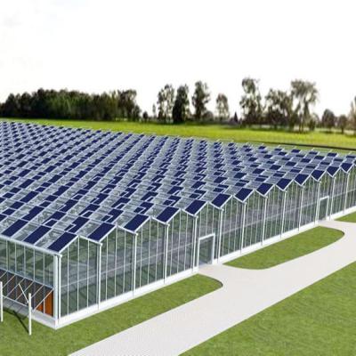 China Commercial Venlo Polycarbonate PC Sheet Greenhouse Multi Span Drying House For Flowers for sale