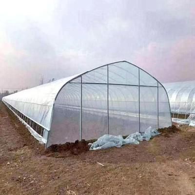 China Túnel de banda única de película de plástico para la plantación de vegetales en venta