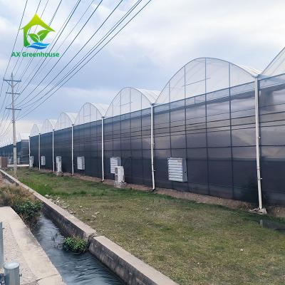 China Agricultural Multi-span Polytunnel UV Plastic Film Greenhouse Kit With Shade Net for sale