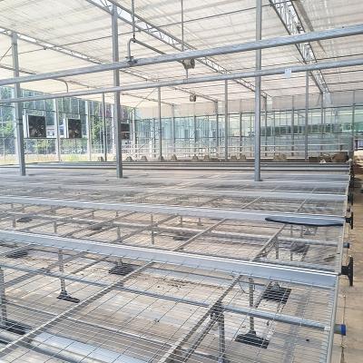 China Agricultural Commercial Indoor Mesh Wire Greenhouse Grow Table Rolling Bench For Seeding for sale