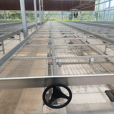 China Commercial Greenhouse Indoor Flower Vegetable Wire Mesh Grow Table Seedbed for sale