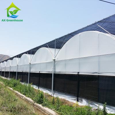 China Commercial Customized Multi Span Agricultural Film Poly Tunnel Vegetable Greenhouse for sale