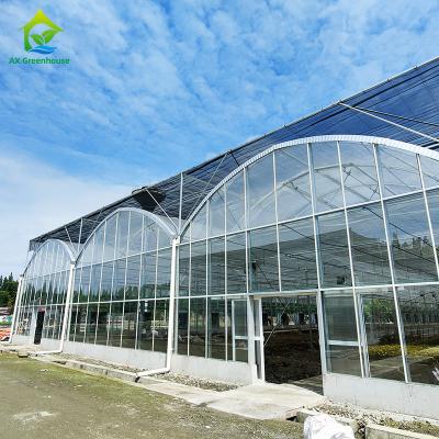 China Snow Resistant Galvanized Steel Glass Multi-span Agricultural Greenhouse for sale