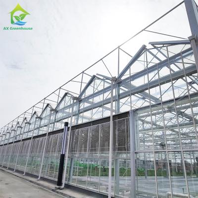 China Durable Snow Resistant Large Tunnel Agricultural Glass Greenhouse For Vegetable for sale