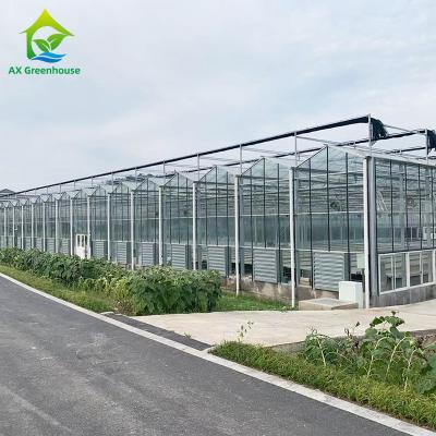 China Multi-span Agricultural Glass House Galvanized Steel Flower Greenhouse for sale