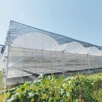 China Customized Agricultural Plastic Film Multi-span Polyhouse Greenhouse for sale